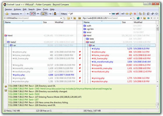 Beyond Compare screenshot 1