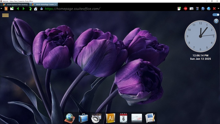 SSuite NetSurfer E-Gamer x64 screenshot 1