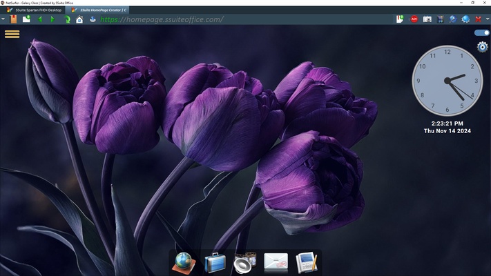 SSuite NetSurfer E-Gamer x64 screenshot 1