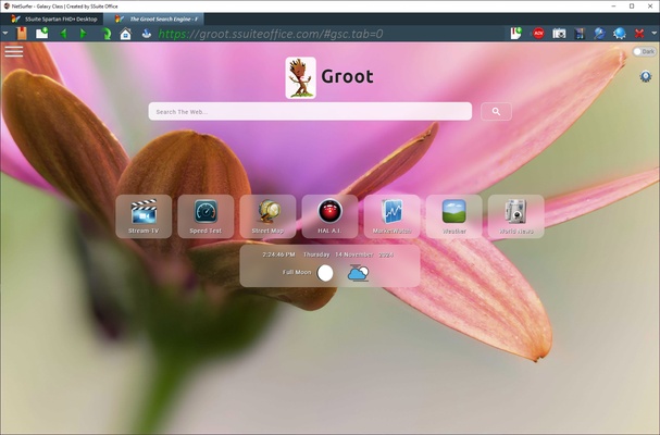 SSuite NetSurfer E-Gamer x64 screenshot 1