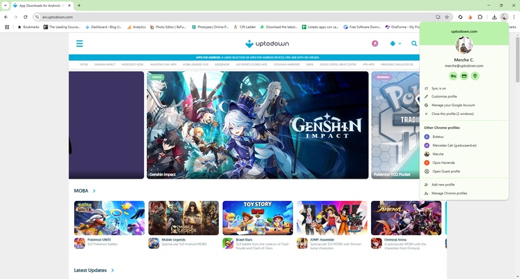 Google Chrome screenshot 1