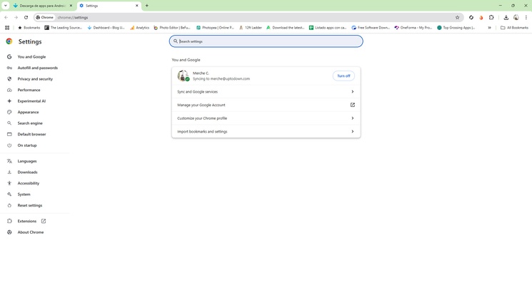 Google Chrome screenshot 1