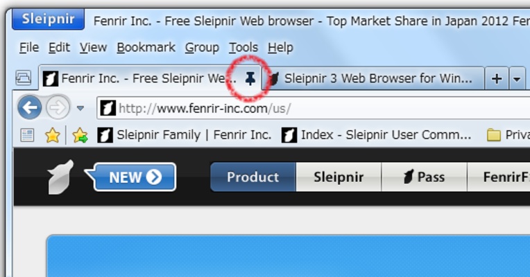 Sleipnir screenshot 1