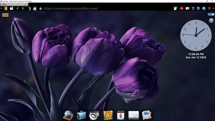 SSuite NetSurfer Extreme x64 screenshot 1
