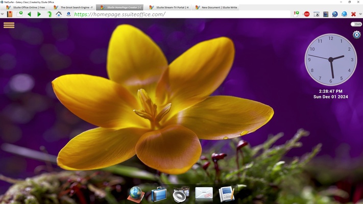 SSuite NetSurfer Extreme x64 screenshot 1
