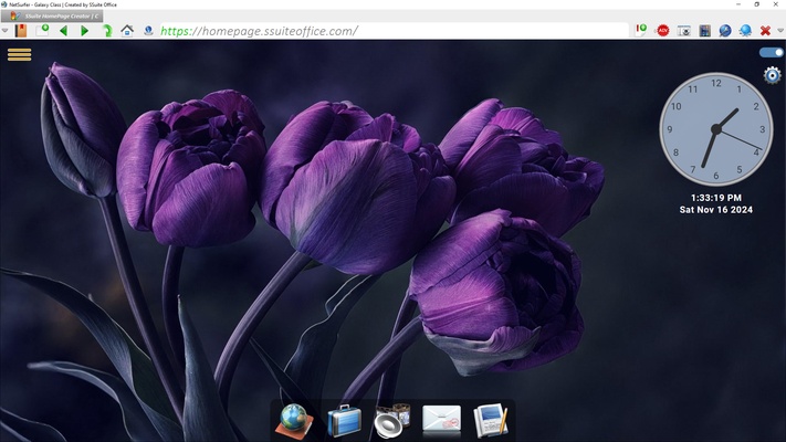 SSuite NetSurfer Extreme x64 screenshot 1