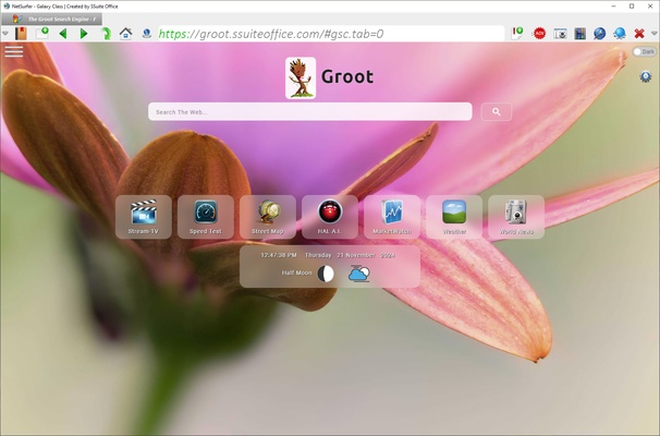 SSuite NetSurfer Extreme x64 screenshot 1