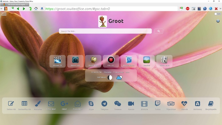 SSuite NetSurfer Extreme x64 screenshot 1