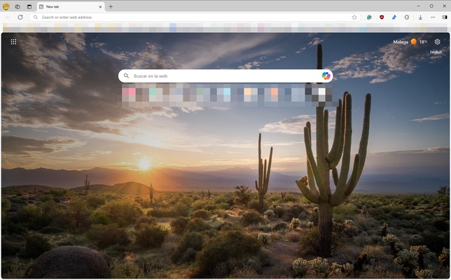 Microsoft Edge screenshot 1