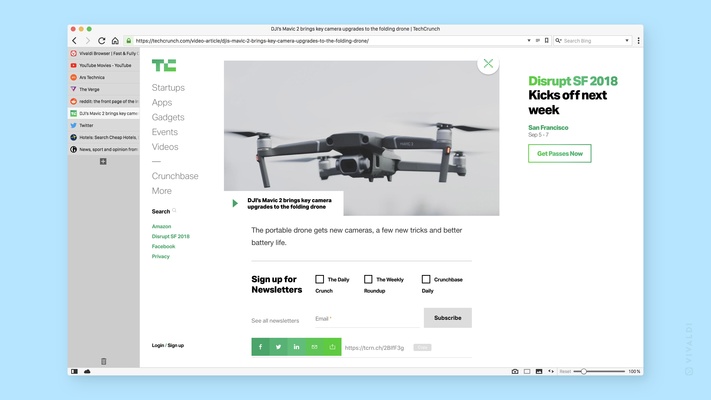 Vivaldi screenshot 1