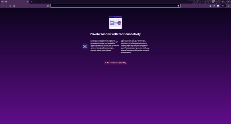 Brave Browser screenshot 1