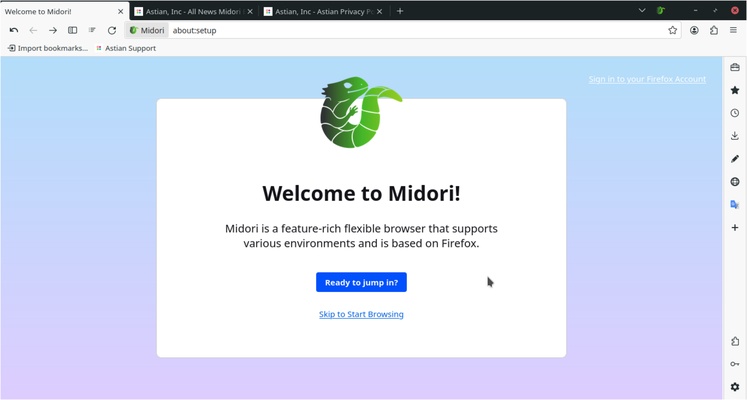 Midori Browser screenshot 1