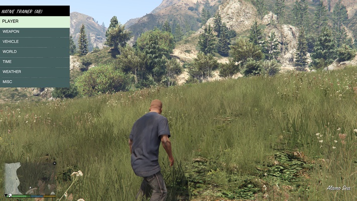 Script Hook V screenshot 1