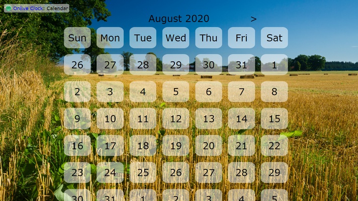 Web Screensaver screenshot 1