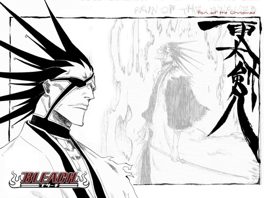 Bleach Windows Theme screenshot 1