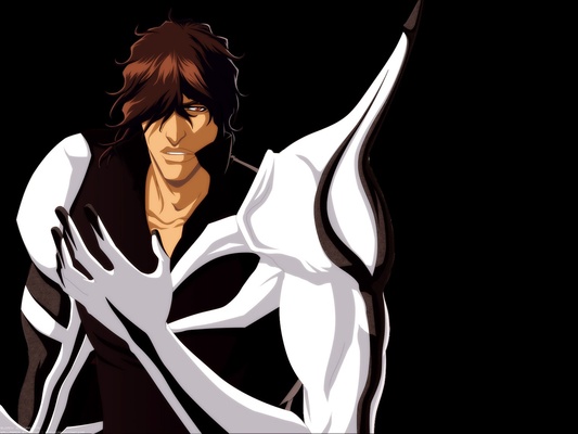 Bleach Windows Theme screenshot 1