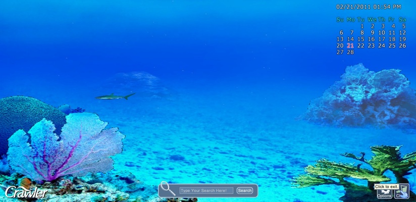 3D Marine Aquarium Screensaver screenshot 1