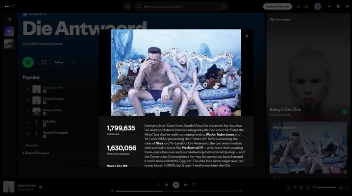 Spotify screenshot 1