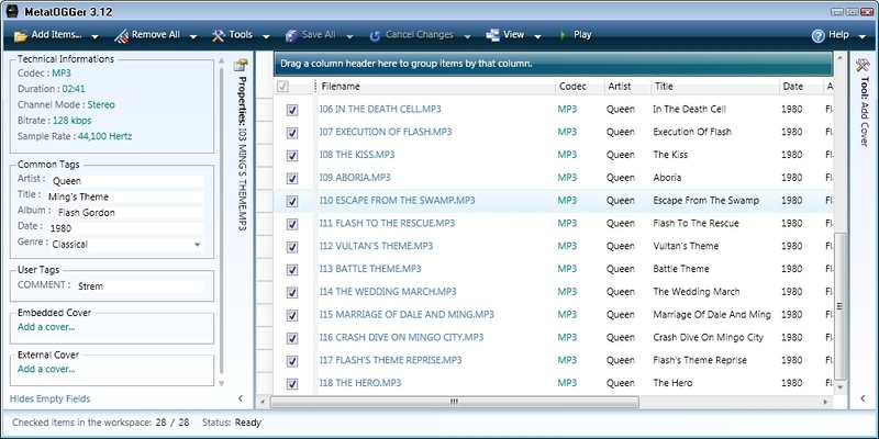 Metatogger screenshot 1