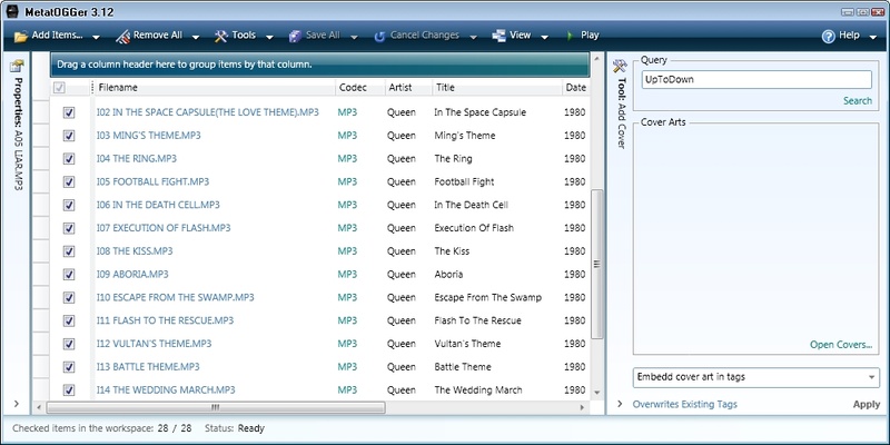 Metatogger screenshot 1