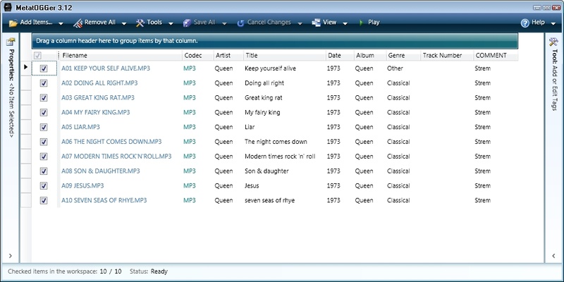 Metatogger screenshot 1