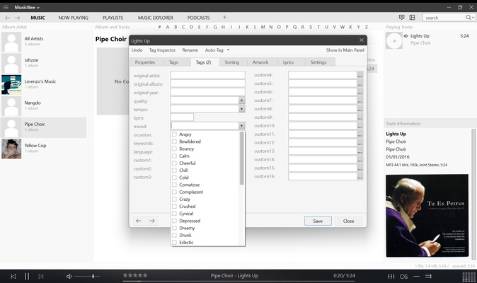 MusicBee Portable screenshot 1