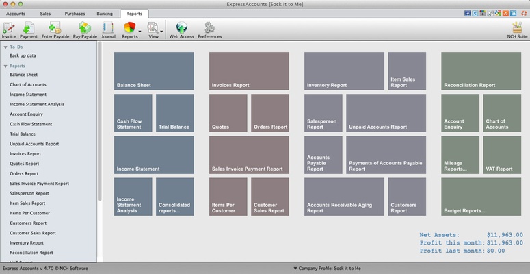 Express Accounts Plus screenshot 1