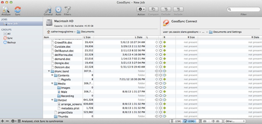 GoodSync screenshot 1
