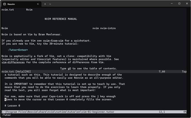 Neovim screenshot 1