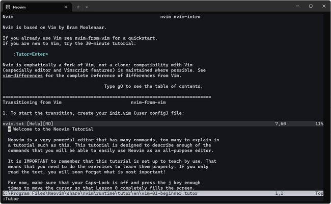 Neovim screenshot 1