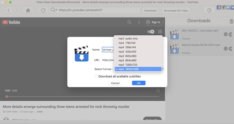 Total Video Downloader screenshot 1