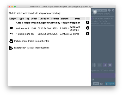 LosslessCut screenshot 1