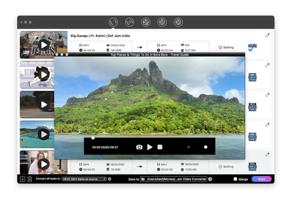 Cisdem Video Converter screenshot 1