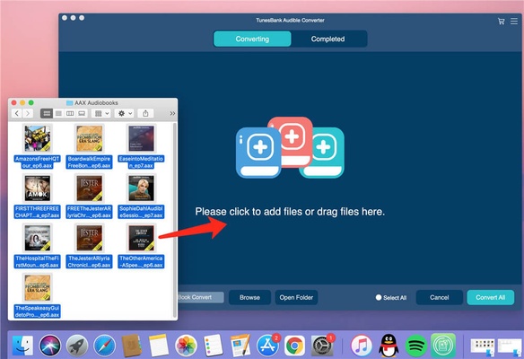 TunesBank Audible Converter screenshot 1