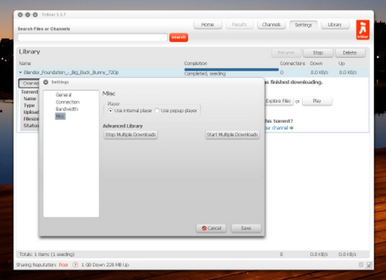 Tribler screenshot 1