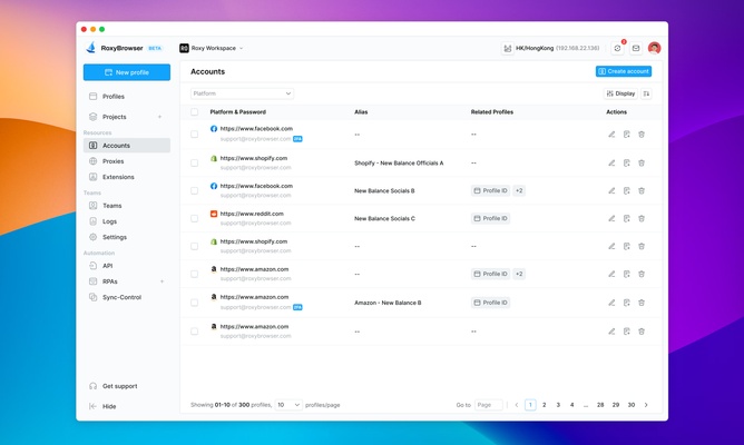 RoxyBrowser screenshot 1