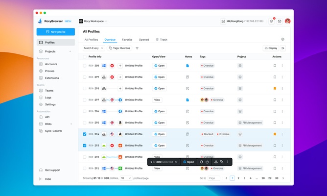 RoxyBrowser screenshot 1