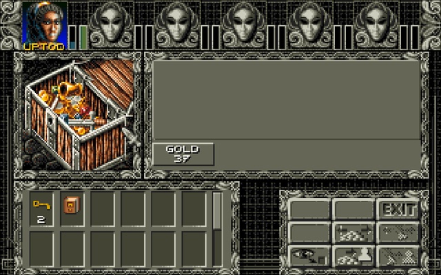 Ambermoon.NET screenshot 1