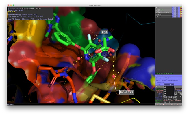 PyMOL screenshot 1