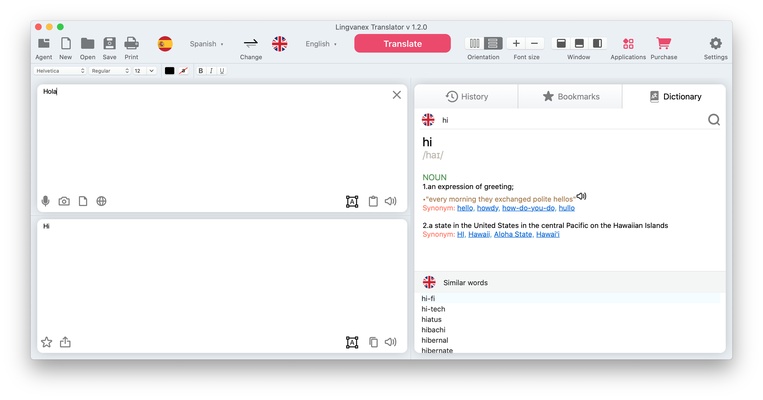 Lingvanex Translator screenshot 1