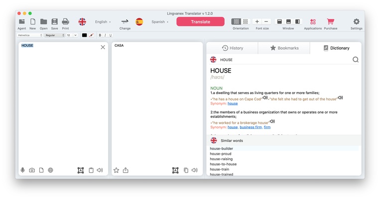Lingvanex Translator screenshot 1
