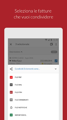 Aruba Fatturazione Elettronica screenshot 1