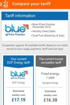 EDF Energy screenshot 1