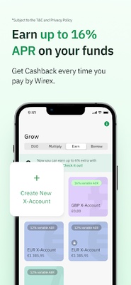 Wirex screenshot 1