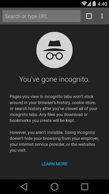 Chrome Beta screenshot 1