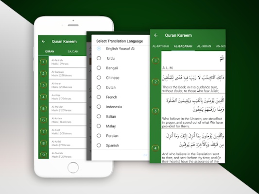 Quran Kareem screenshot 1