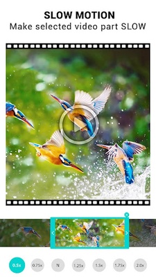 Video Speed Changer screenshot 1