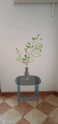 Homestyler screenshot 1