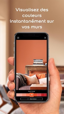 Dulux Valentine screenshot 1