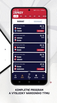 Český hokej screenshot 1